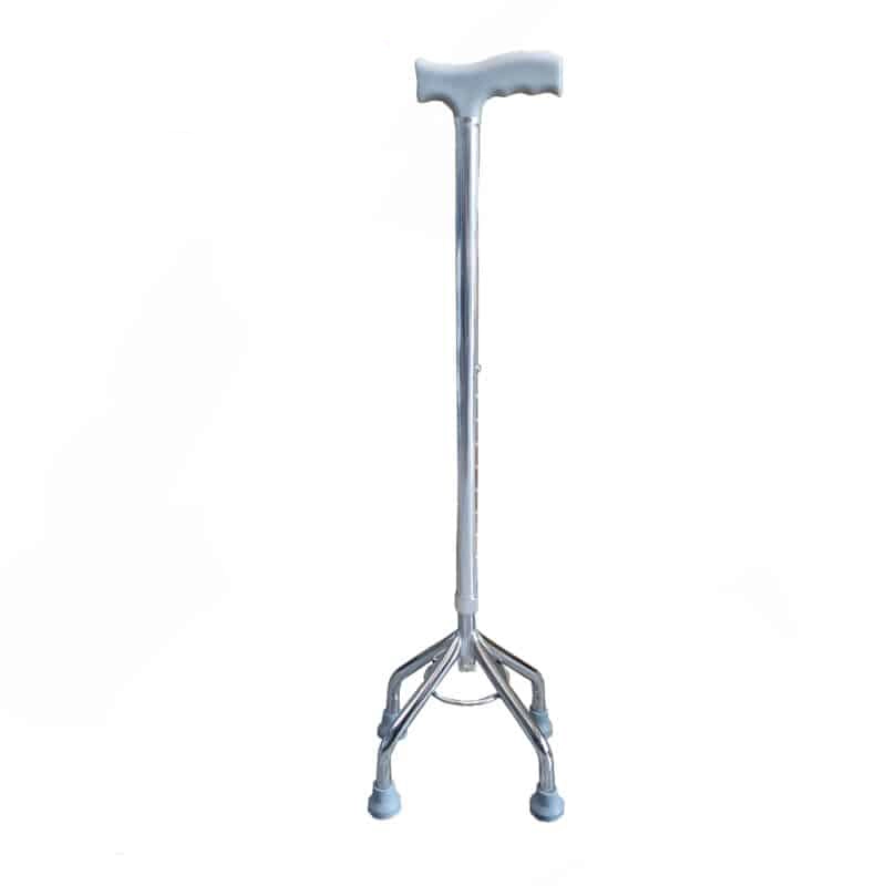 Walking Stick Agesup 01 800x800 1