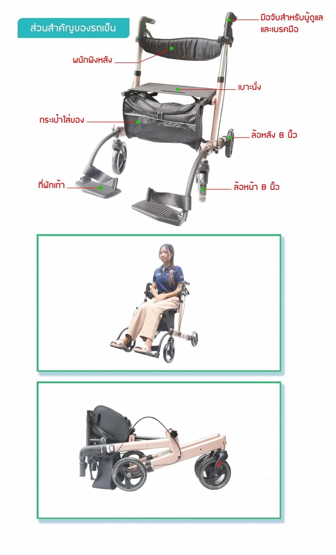 รถเข็นหัดเดิน ROLLRATOR รุ่น BT 54 PINKGOLD 03