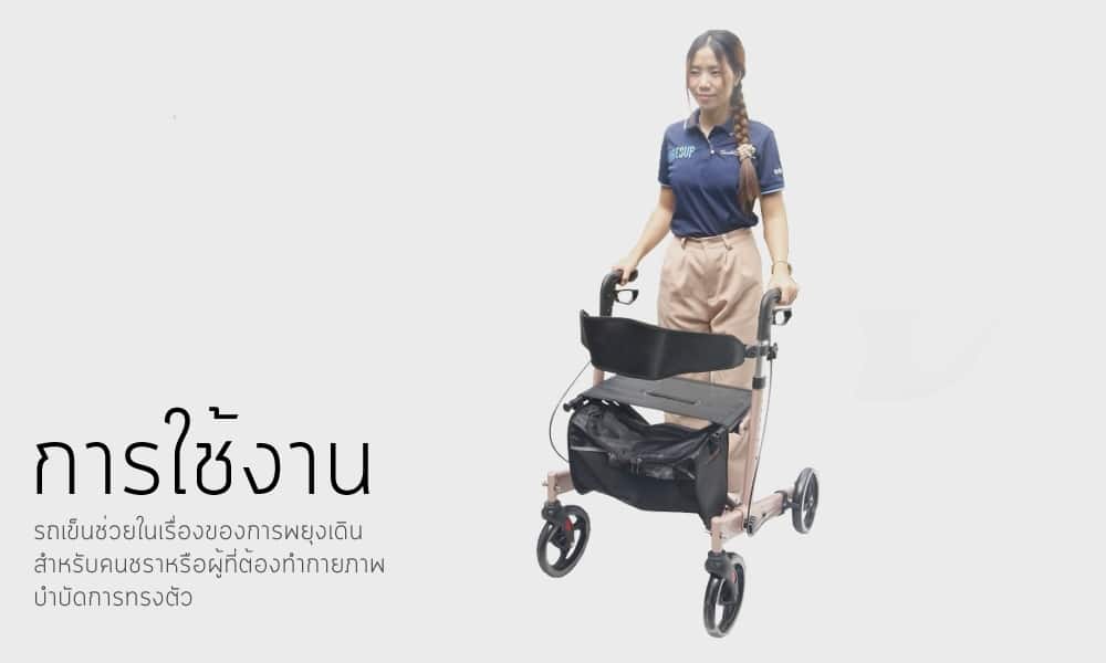 รถเข็นหัดเดิน ROLLRATOR รุ่น BT 54 PINKGOLD 08